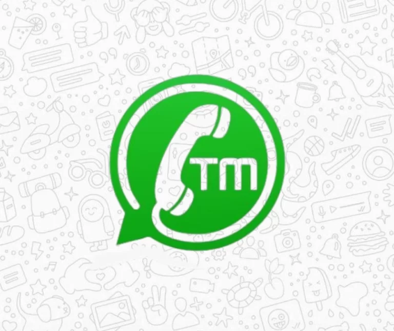 TM WhatsApp Apk download 2024